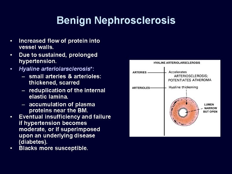 Benign Nephrosclerosis Increased flow of protein into vessel walls. Due to sustained, prolonged hypertension.